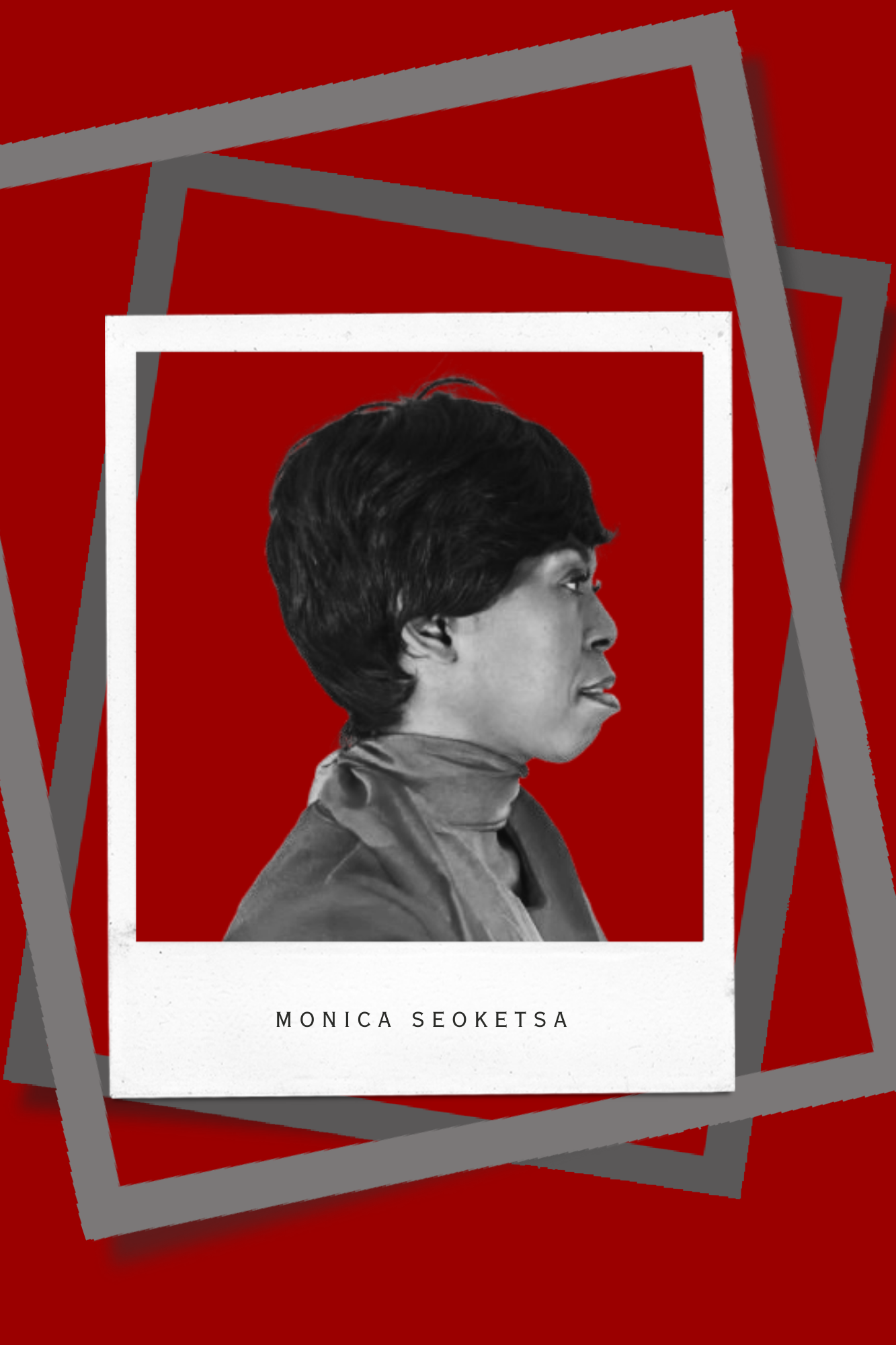 Red Clean Aesthetic Polaroid Film Moodboard Photo Collage (2)